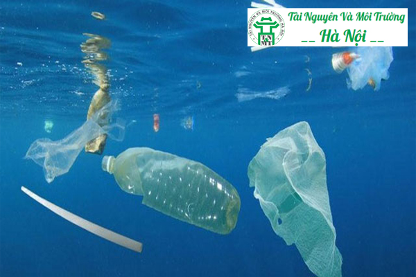 Môi trường biển đầy rác thải nhựa