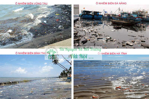 Ô nhiễm môi trường biển là gì? Hậu quả và biện pháp khắc phục