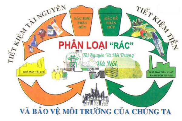 Thực hiện thu gom và phân loại rác thải